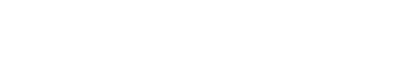 红水河投资集团